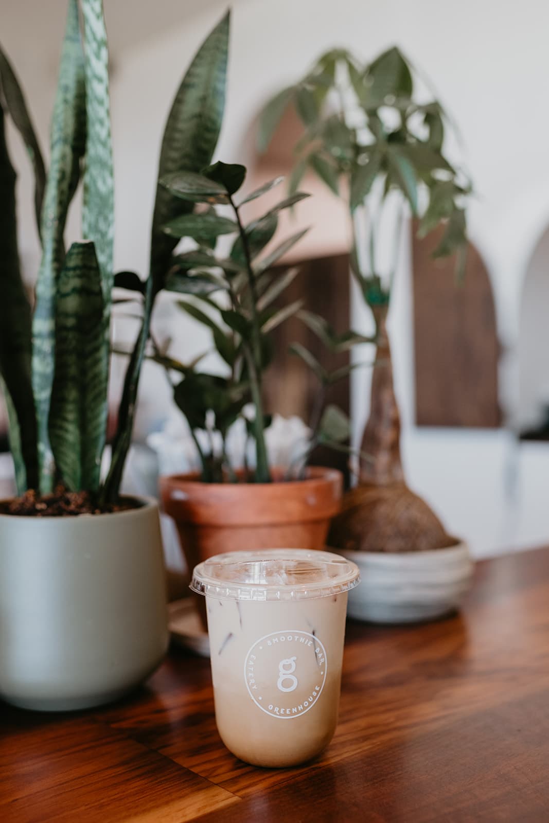 Potted plants and an iced Greenhouse drink on the wood counter