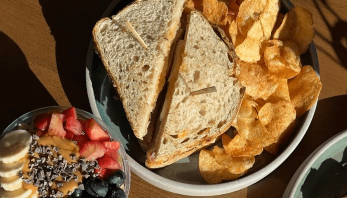 Turkey Sammy